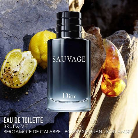 dior sauvage eau de parfum e and toilette|how expensive is Dior Sauvage.